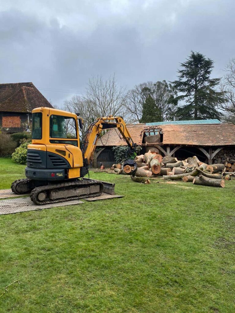 This is a photo of a tree which has grown through the roof of a barn that is being cut down and removed. There is a digger that is removing sections of the tree as well. Newark on Trent Tree Surgeons