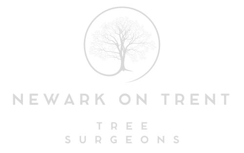 Newark on Trent Tree Surgeons