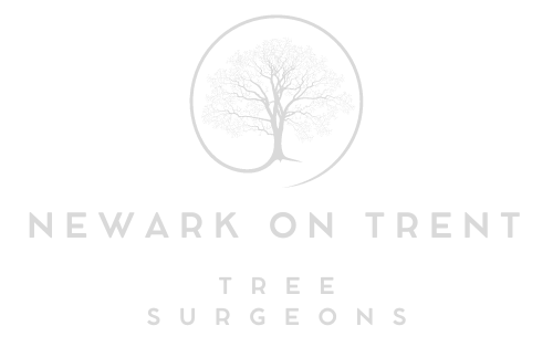 Newark on Trent Tree Surgeons